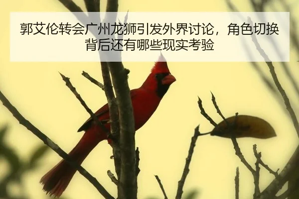 guo-ai-lun-zhuan-hui-guang-zhou-long-shi-yin-fa-wai-jie-tao-lun-jue-se-qie-huan-bei-hou-hai-you-na-xie-xian-shi-kao-yan-2-149.jpg